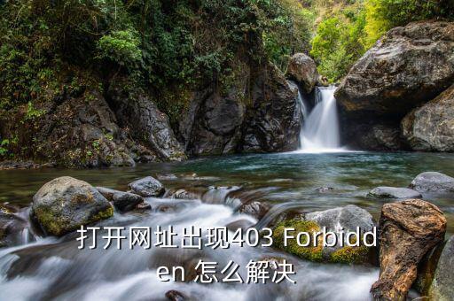 進地稅網(wǎng)出現(xiàn)403是什么意思，打開網(wǎng)頁顯示403如何解決