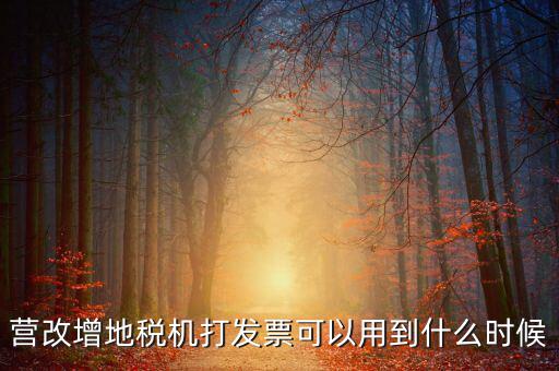 地稅發(fā)票能用到什么時(shí)候，納稅人已領(lǐng)取地稅機(jī)關(guān)印制的發(fā)票可以使用到什么時(shí)候