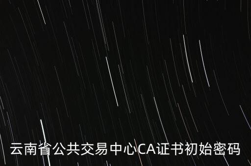 ca證書的原始密碼是什么意思，云南省公共交易中心CA證書初始密碼