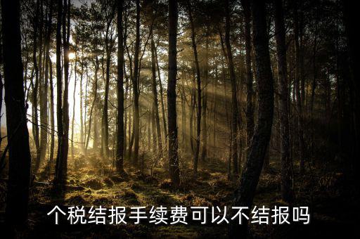 手續(xù)費(fèi)結(jié)報是什么意思，請問個稅手續(xù)費(fèi)申領(lǐng)具體怎么解釋啊謝謝咯