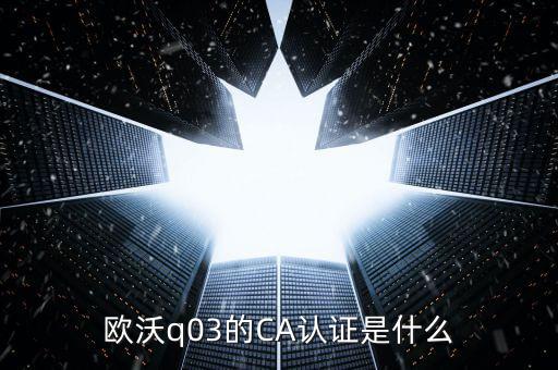 ca認(rèn)證密碼是什么，歐沃q03的CA認(rèn)證是什么