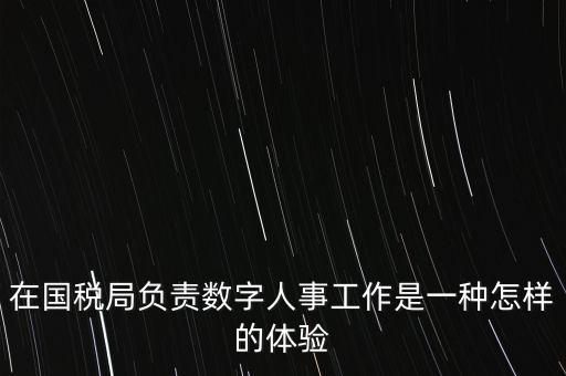 在國稅局負責數字人事工作是一種怎樣的體驗