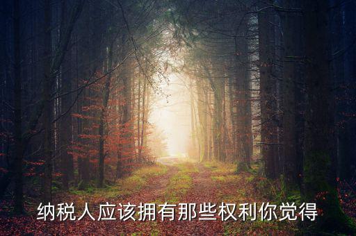 納稅人的權(quán)益有什么，納稅人應(yīng)該擁有那些權(quán)利你覺得