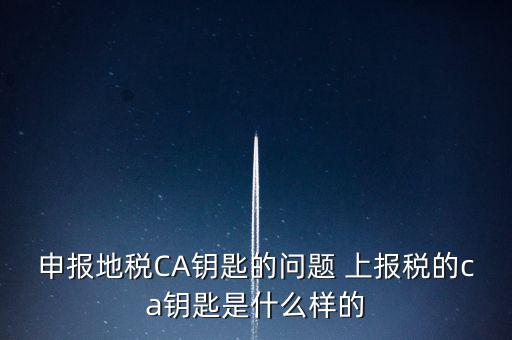 申報(bào)地稅CA鑰匙的問題 上報(bào)稅的ca鑰匙是什么樣的