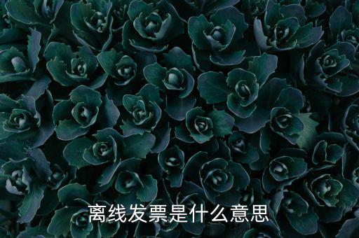 離線開(kāi)票什么意思，離線發(fā)票是什么意思