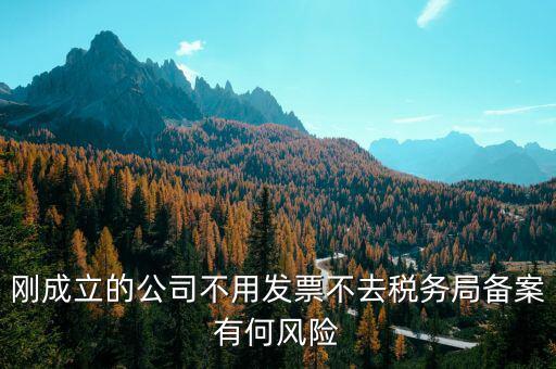 稅收備案制有什么風險，稅收政策變化導致中小企業(yè)的風險有哪些