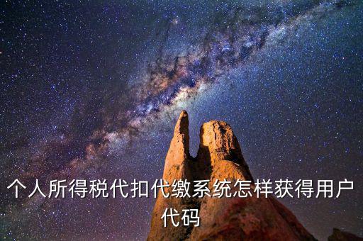 個(gè)人所得稅代扣代繳系統(tǒng)怎樣獲得用戶(hù)代碼