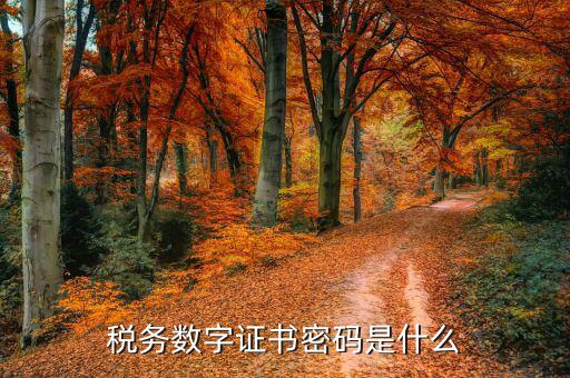 煙臺國稅證書密碼是什么，登錄國稅網(wǎng)上辦稅服務(wù)廳的用戶名和密碼是什么