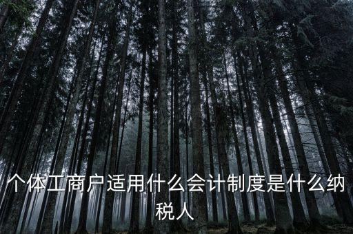 個體戶屬于什么納稅人，從事縫紉業(yè)務(wù)的個體戶屬于哪一類納稅人