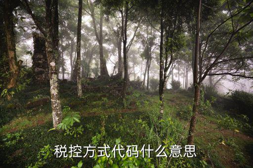 什么叫稅控碼，稅控方式代碼什么意思