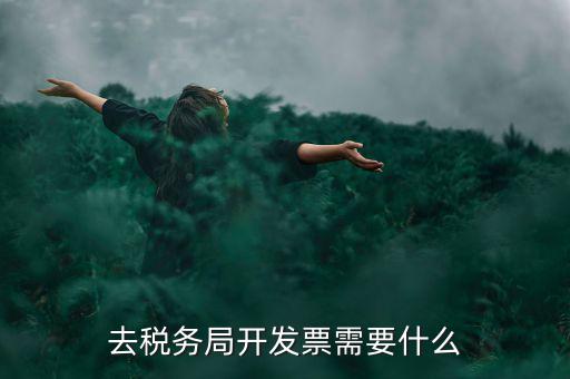 常州國稅認(rèn)證發(fā)票需要帶什么手續(xù)，去國稅認(rèn)證發(fā)票需要帶什么資料