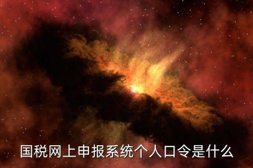 國稅證書口令是什么意思，網(wǎng)上申報國稅系統(tǒng)登陸的口令是什么