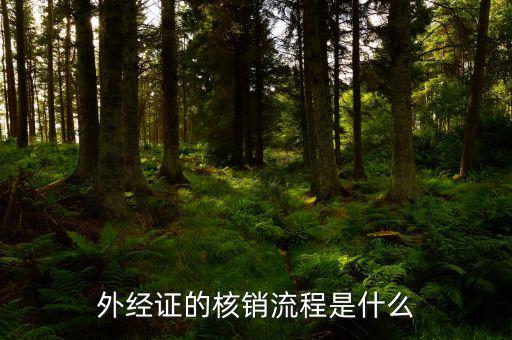 核銷的外經(jīng)證是什么樣，外經(jīng)證核銷是什么意思