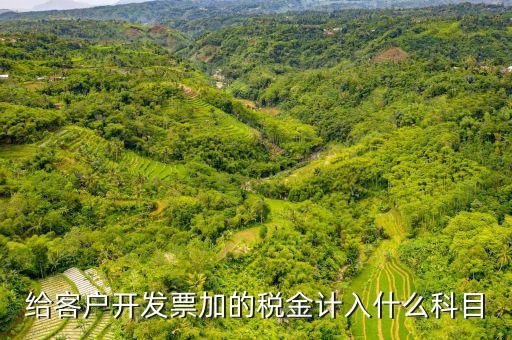 給客戶開(kāi)發(fā)票加的稅金計(jì)入什么科目