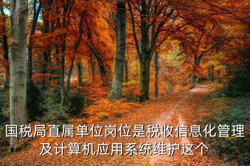 稅收信息化崗位做什么，信息化在稅務(wù)管理中有什么作用