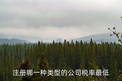蘇州開(kāi)什么樣的公司稅率最低，注冊(cè)什么類型的公司交稅最少