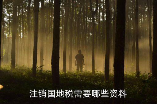 注銷(xiāo)國(guó)地稅需要哪些資料