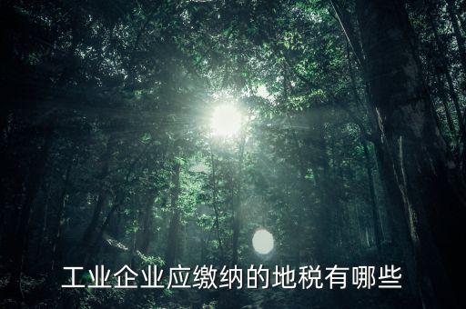 什么企業(yè)交土地使用稅，企業(yè)自有房屋土地使用稅繳納