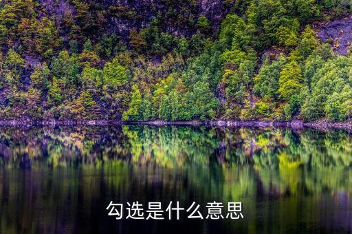 發(fā)票勾選是什么意思，勾選是什么意思