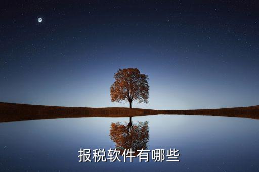 蘇州報稅用什么軟件，蘇州工業(yè)園區(qū)使用什么電子報稅系統(tǒng)