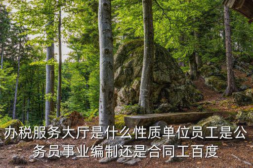 什么是辦稅服務大廳，辦稅服務廳的基本服務包括哪些
