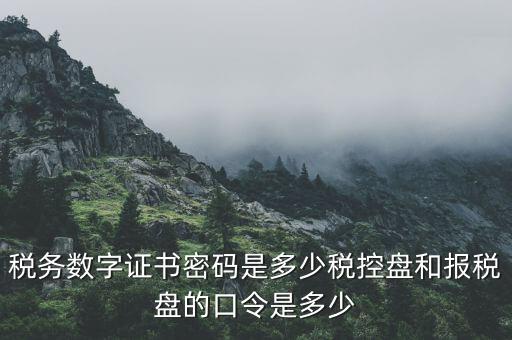 國稅申報ca默認密碼是什么意思，國家稅務(wù)總局網(wǎng)上辦稅服務(wù)廳初始密碼是什么