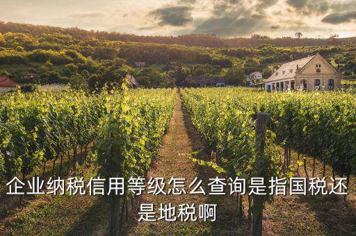 什么等級的公司報什么稅如何查，納稅等級查詢在哪里查