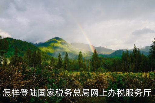 稅務(wù)局登錄什么瀏覽器可以，怎樣登陸國家稅務(wù)總局網(wǎng)上辦稅服務(wù)廳