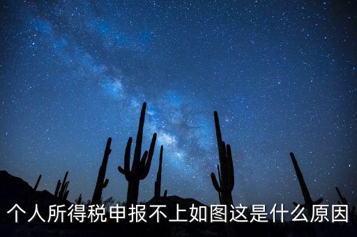 個(gè)稅申報(bào)不成功什么原因，個(gè)人所得稅申報(bào)不上如圖這是什么原因