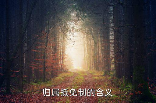 為什么要制定實(shí)施稅收抵免制度，歸屬抵免制的含義