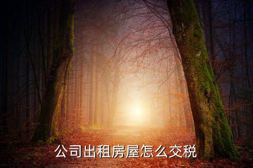 企業(yè)承租房屋交什么稅，公司租賃房屋需要交哪些稅