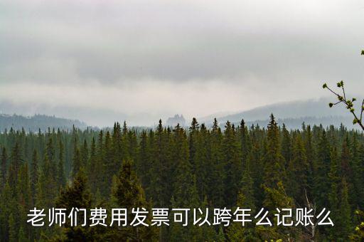 什么發(fā)票可以跨年入賬，增值稅專用發(fā)票可以跨年做賬嗎