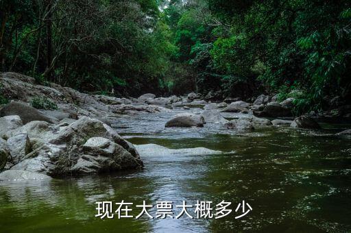 車輛大票是額多少什么，現(xiàn)在大票大概多少