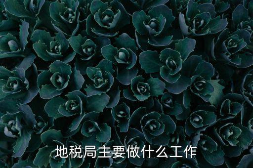 地稅局主要管什么的，地稅局工作的主要內(nèi)容
