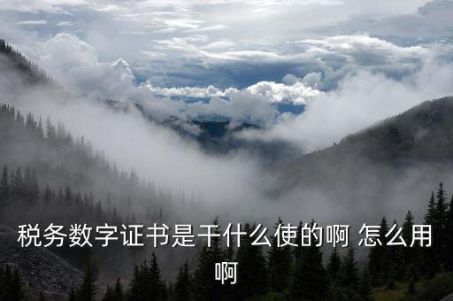 安徽國稅局數(shù)字證書是什么意思，稅務數(shù)字證書是干什么使的啊 怎么用啊