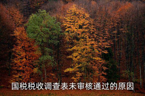 國稅網(wǎng)為什么查不到預(yù)審信息，在國稅上我明明已經(jīng)申報(bào)過了為什么查詢不出來