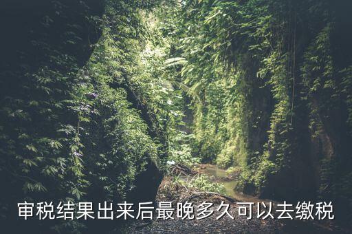 審稅結(jié)果出來(lái)后最晚多久可以去繳稅
