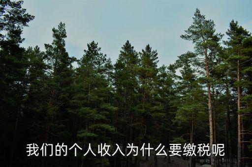 為什么要上個(gè)人所得稅，我們的個(gè)人收入為什么要繳稅呢