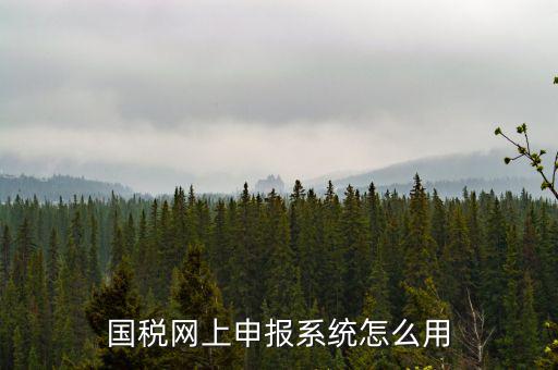 國稅網(wǎng)絡(luò)預(yù)申請系統(tǒng)是什么，怎么安裝國稅網(wǎng)上申報(bào)系統(tǒng)