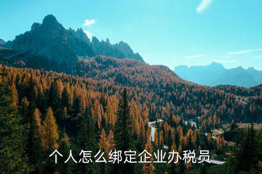 辦稅人員該綁定什么人，個(gè)人怎么綁定企業(yè)辦稅員