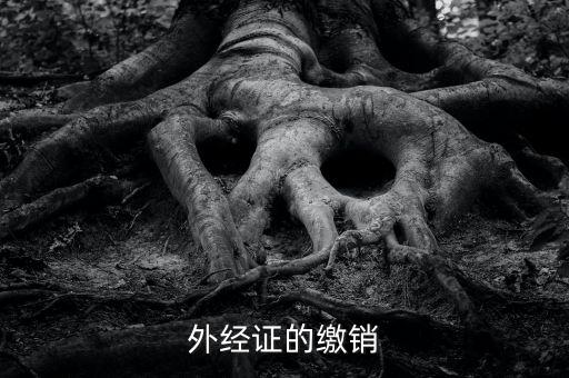 廈門(mén)繳銷(xiāo)外經(jīng)證國(guó)稅什么資料，廈門(mén)國(guó)稅需銷(xiāo)項(xiàng)合同是什么