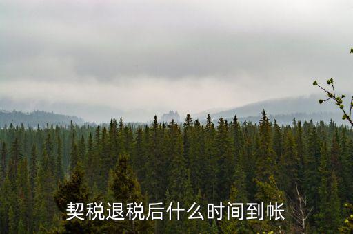 退稅款什么時候到賬，出口退稅款一般多久到賬