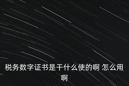 國稅ca數(shù)字證書是什么，稅務(wù)數(shù)字證書是干什么使的啊 怎么用啊