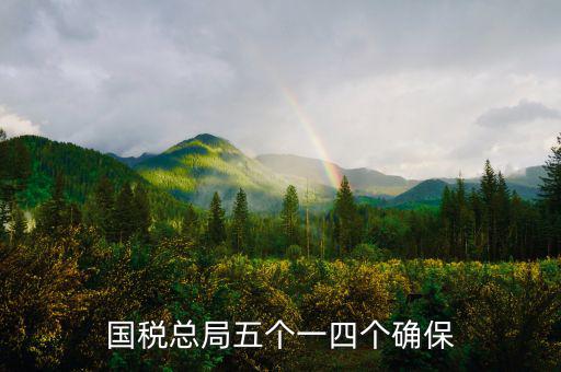稅務(wù)局五個(gè)一是什么意思，國稅總局五個(gè)一四個(gè)確保