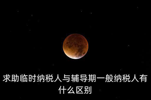 什么是臨時納稅人，臨時一般納稅人是什么意思