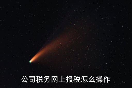 企業(yè)報(bào)稅登什么網(wǎng)站，企業(yè)稅務(wù)申報(bào)去哪個(gè)網(wǎng)站