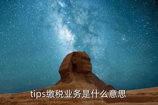 地稅tips繳款是什么意思，tips扣稅是什么意思
