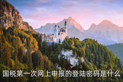 國稅網(wǎng)報(bào)口令是什么，國稅第一次網(wǎng)上申報(bào)的登陸密碼是什么
