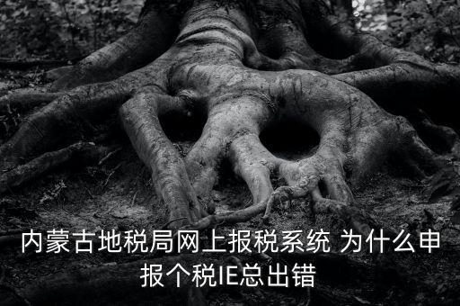 為什么內(nèi)蒙古國地稅網(wǎng)進(jìn)不去，windows7內(nèi)蒙古地稅報(bào)稅系統(tǒng)顯示無法顯示該網(wǎng)頁