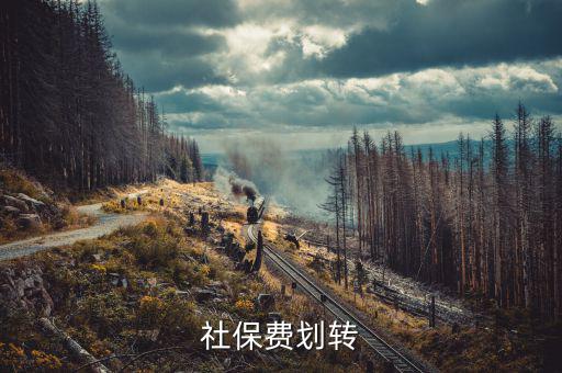 社保費(fèi)征管職責(zé)劃轉(zhuǎn)移交些什么，2020年新疆社會保險(xiǎn)費(fèi)征管職責(zé)劃轉(zhuǎn)包包括哪些內(nèi)容